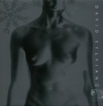 david sylvian - popsongUK12A