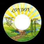 mari wilson - justwhatialwaysewantedUSP7A