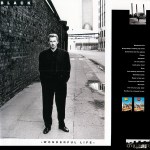 1987-black-winderful life