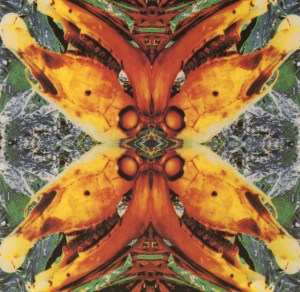 Wax Trax! Records | US | CD5 | 1989 | WAXCD 9081