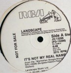 landscape - itsnotmyrealnameUSP12A