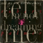 robert palmer - tellmeimnotdreamingUS12A