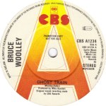 bruce-woolley---ghosttrainUK7A