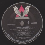 real life - openheartedOZ7A