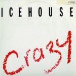 icehouse-crazyoz12a