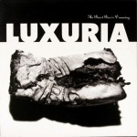 luxuria-thebeastboxisdreaminguk12a