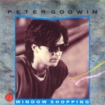 peter godwin window shopping dutch 7