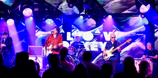 the blow monkeys live