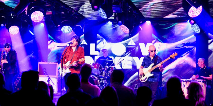 the blow monkeys live