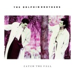 the dolphin brothers catch the fall cover