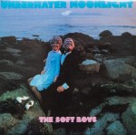 the soft boys underwater moonlight cover