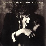 the waterboys - this is the sea cover