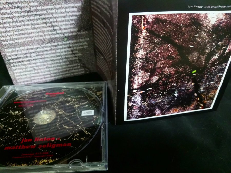 jan linton and matthew seligman - sendai 2020 CD
