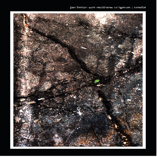 on matthew seligman sendai 2020 cover art