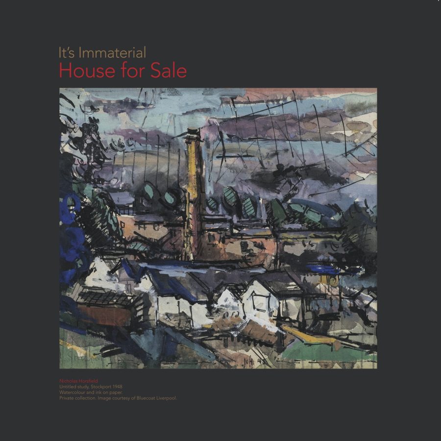 it's immaterial - house for salew cover art