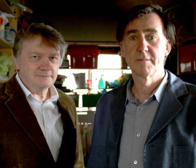 jarvis whitehead and john campbell