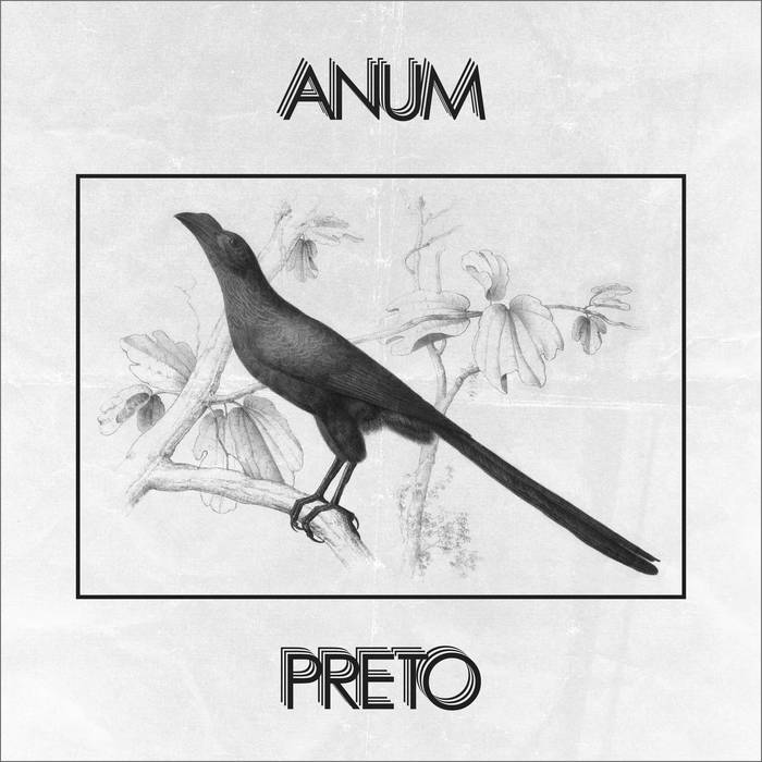 anum preto anum preto cover art