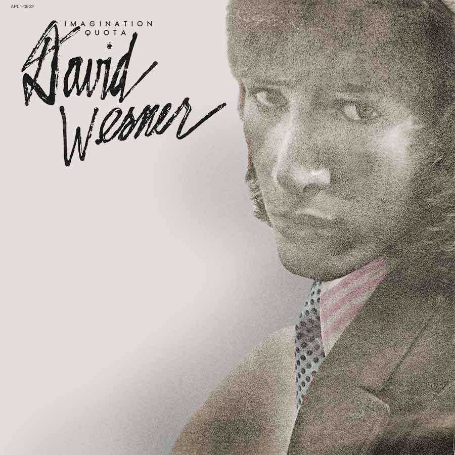 david werner imagination quota cover art