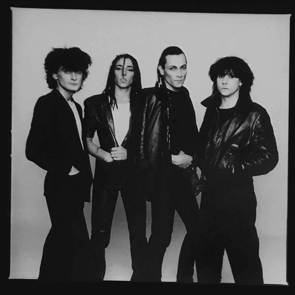 Fashiøn (c) 1982 David Baileyi