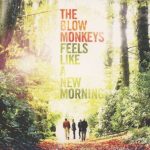 blow monkeys - a new morning cover art