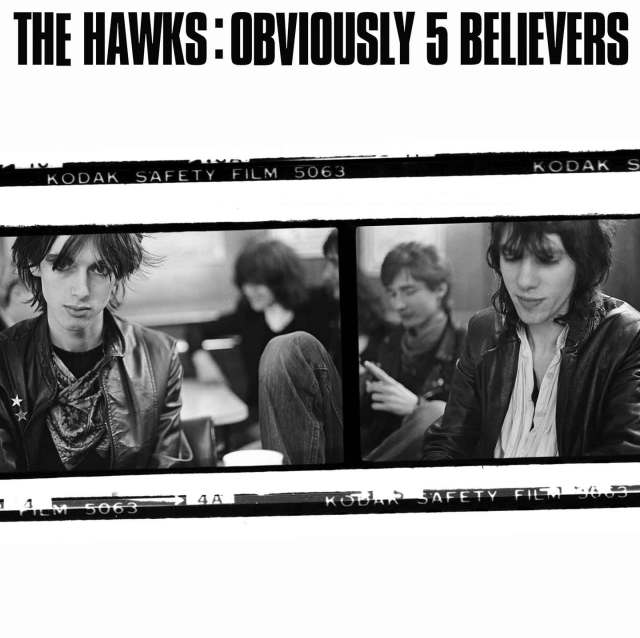 the hawks obviously 5 believers cover art