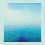 the metamporph return to splendour cover art