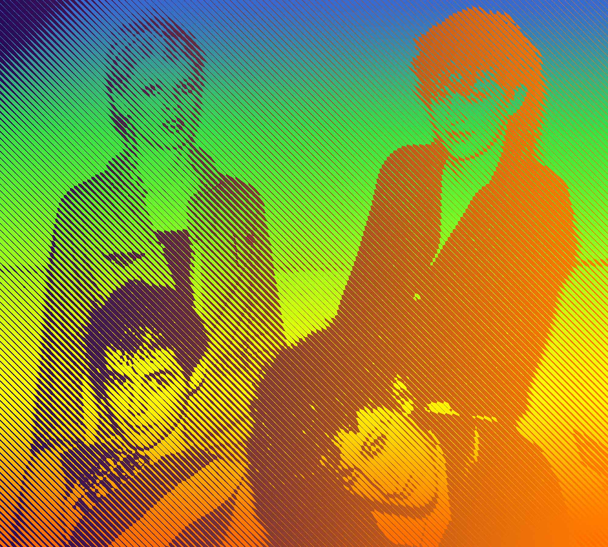 Bush Tetras Monktone