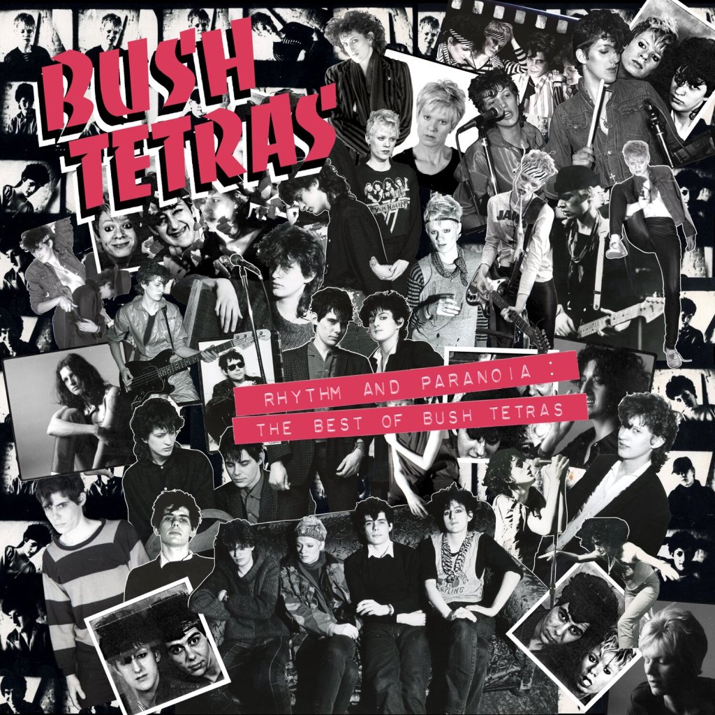 bush tetras rhythm + paranoia cover art