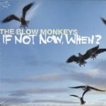 blow monkeys - if not not when cover art