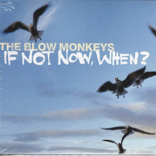 blow monkeys - if not not when cover art