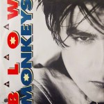 blow monkeys it doesn't have to be that way cover art