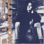 blow monkeys some kind of wonderful cover art