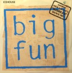 Icehouse - big fun OZ cover art