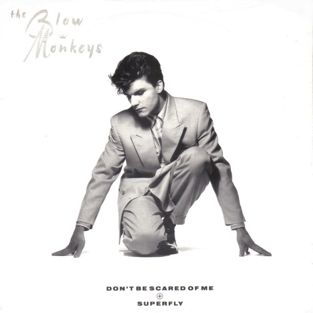 blow monkeys don't be scared of me