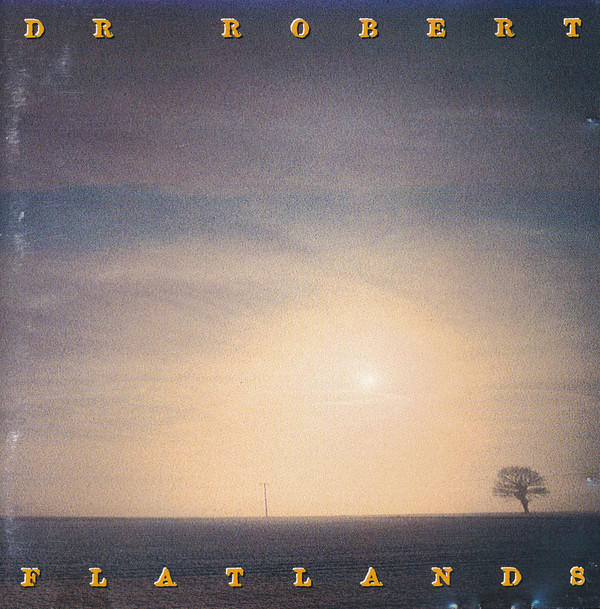 dr. robert - flatlands cover art