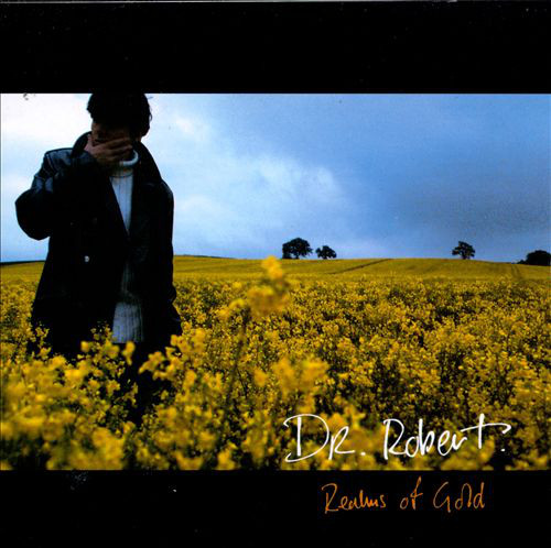 dr. robert - realms of gold cover art