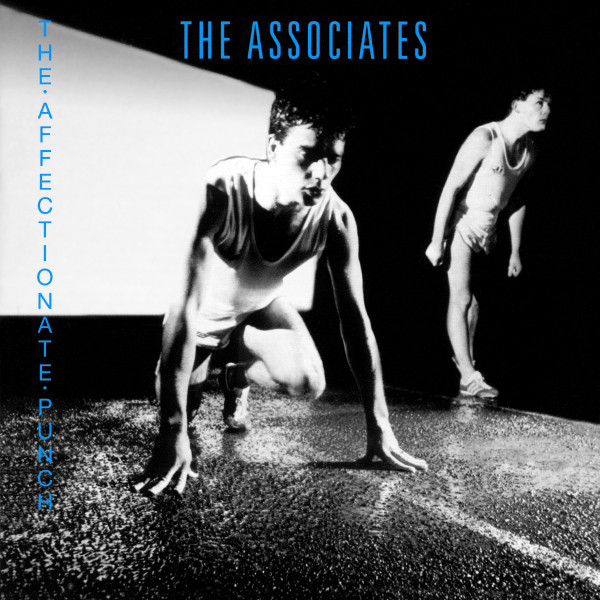 associates the affectionate punch cover art
