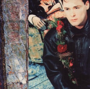 associates - wild + lonely cvoer art