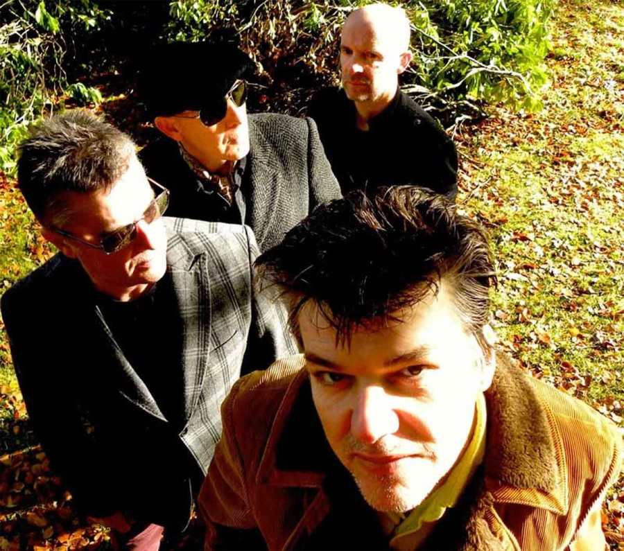 blow monkeys 2013 michele siedner-howard