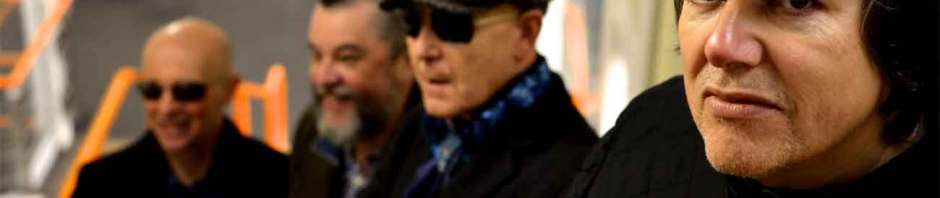 Blow Monkeys ©2015 Michele Siedner-Howard