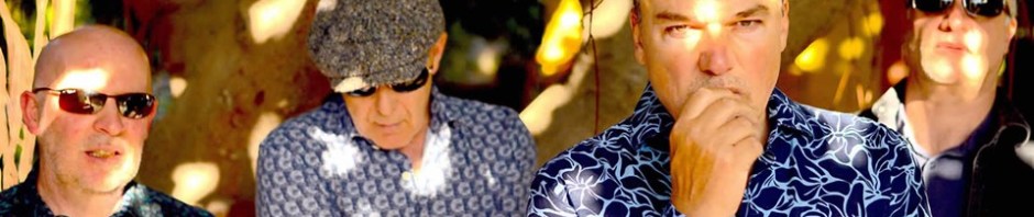 blow monkeys (c) 2017 michele sidener-howard