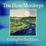 the blow monkeys - crying for the moon cover art