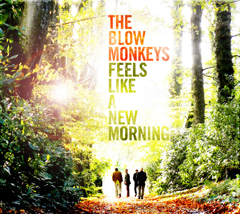 blow monkeys - feels like a new mornign cover art