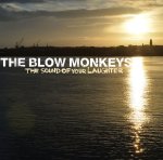 blow onkeys - the sound of your laughter cover art