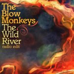 blow monkeys - the wild river cover art