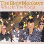 blow monkeys what in the world cover art