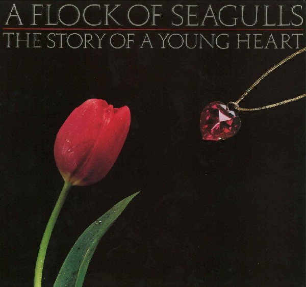 a flock of seagulls - story of a young heart cover art