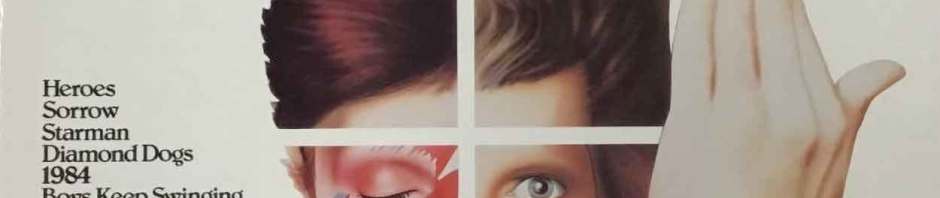 david bowie - chameleon cover art