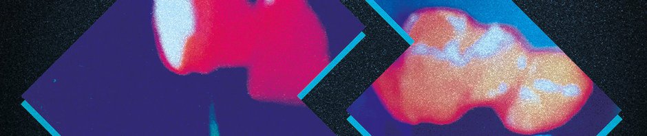 steven jones + logan sky summer herz cover art