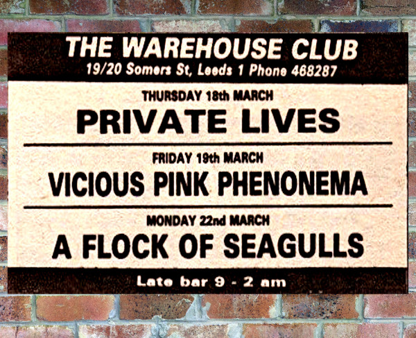 vicious pink phenomena - live at leeds warehouse